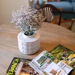 Apartment Belem- Charming
