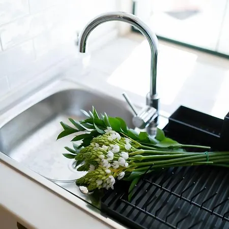 Belem- Charming Daire Lisboa